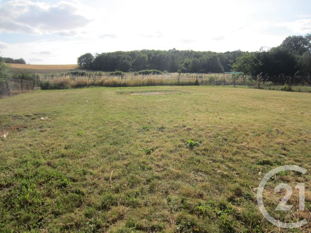 maison à louer - 3 pièces - 75.0 m2 - VALPUISEAUX - 91 - ILE-DE-FRANCE - Century 21 Actua Conseils